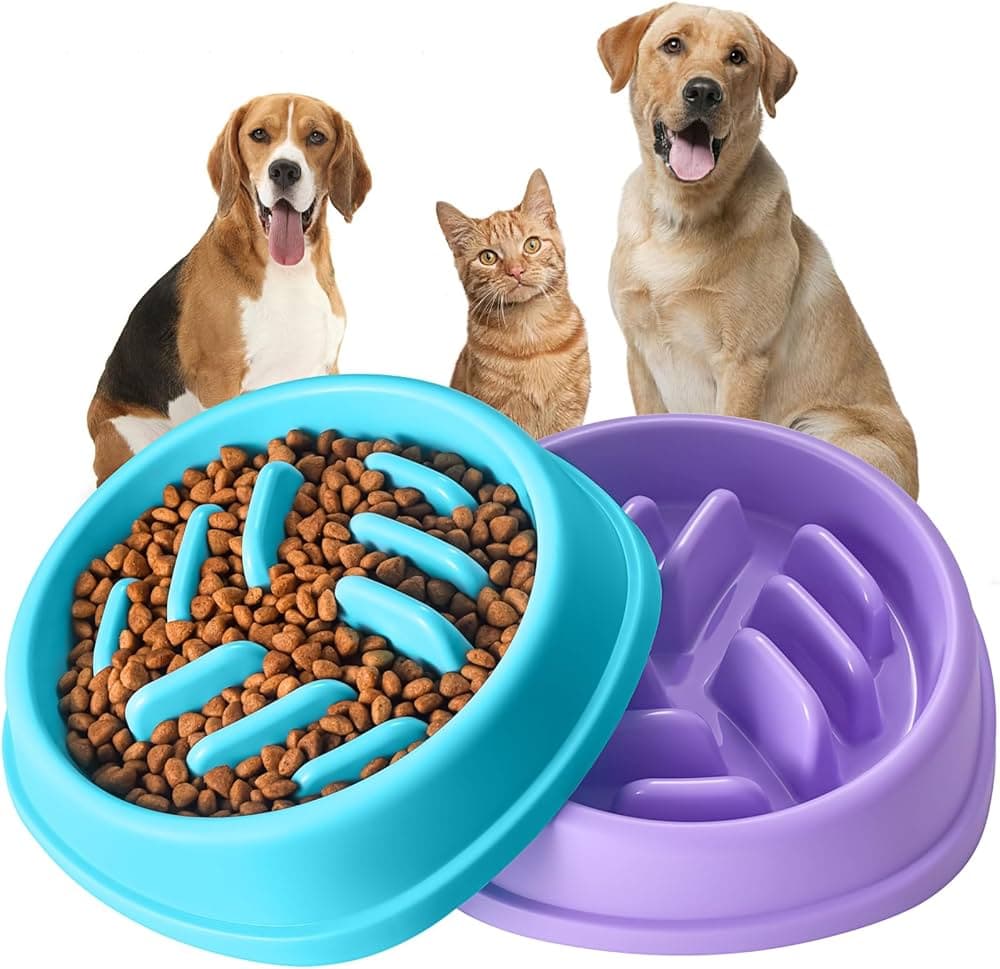 Maze Slow Feeder Dog Bowl