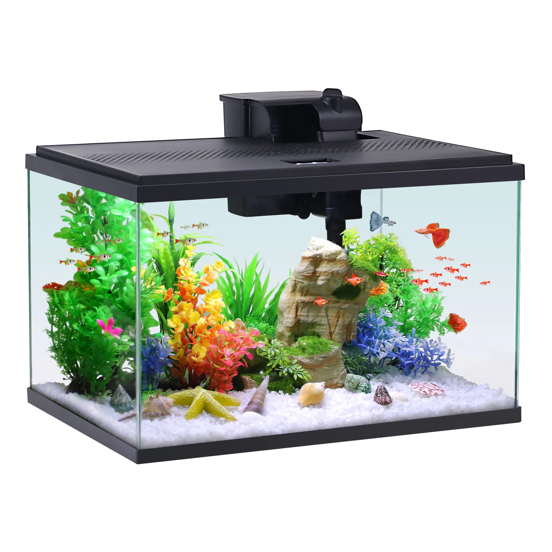 10-Gallon Starter Aquarium Kit