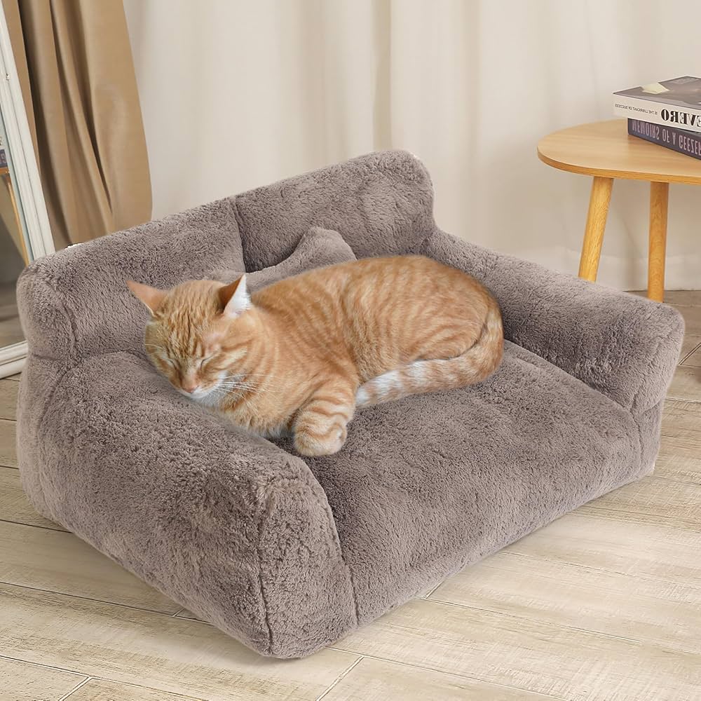 Pet Beds & Furniture