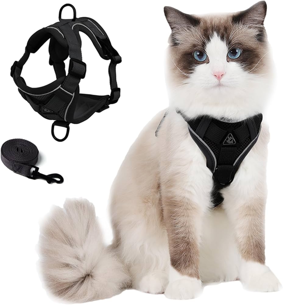 Cat Harness & Leash Set