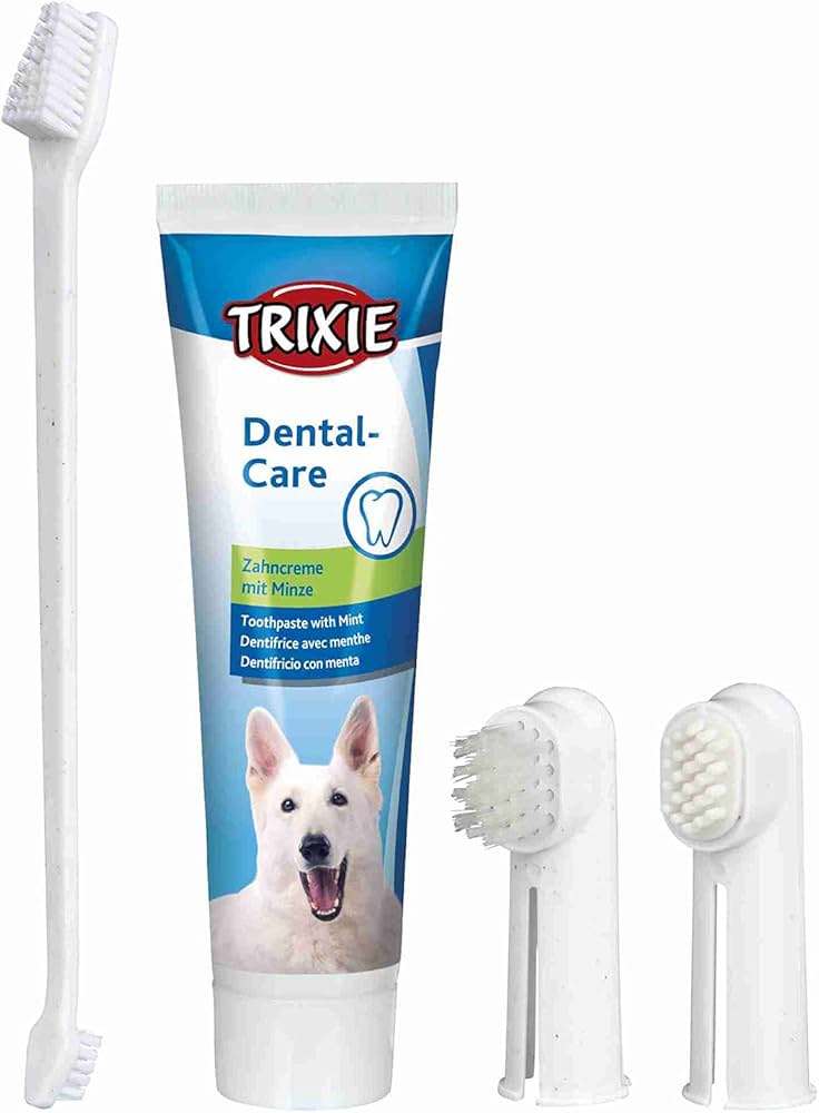 Dog Toothbrush & Paste Kit