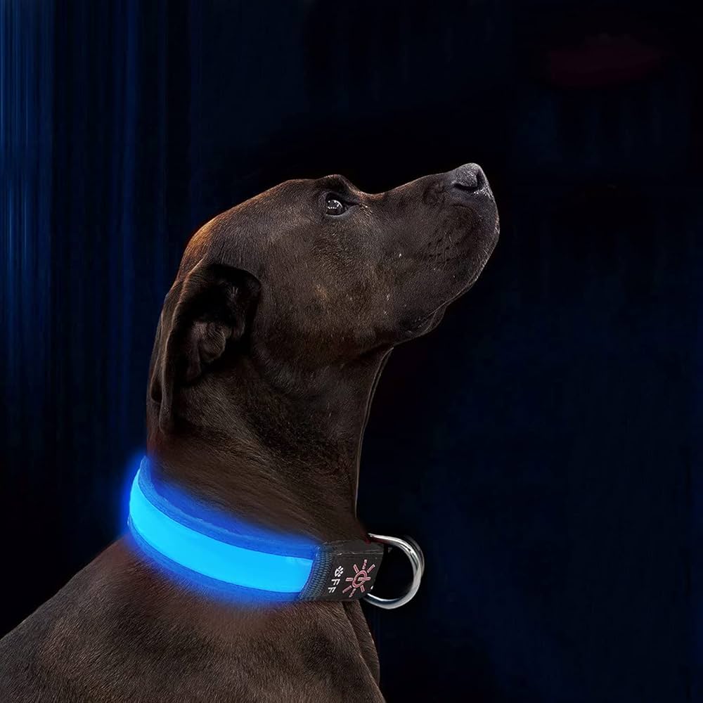 LED Light-Up Dog Collar