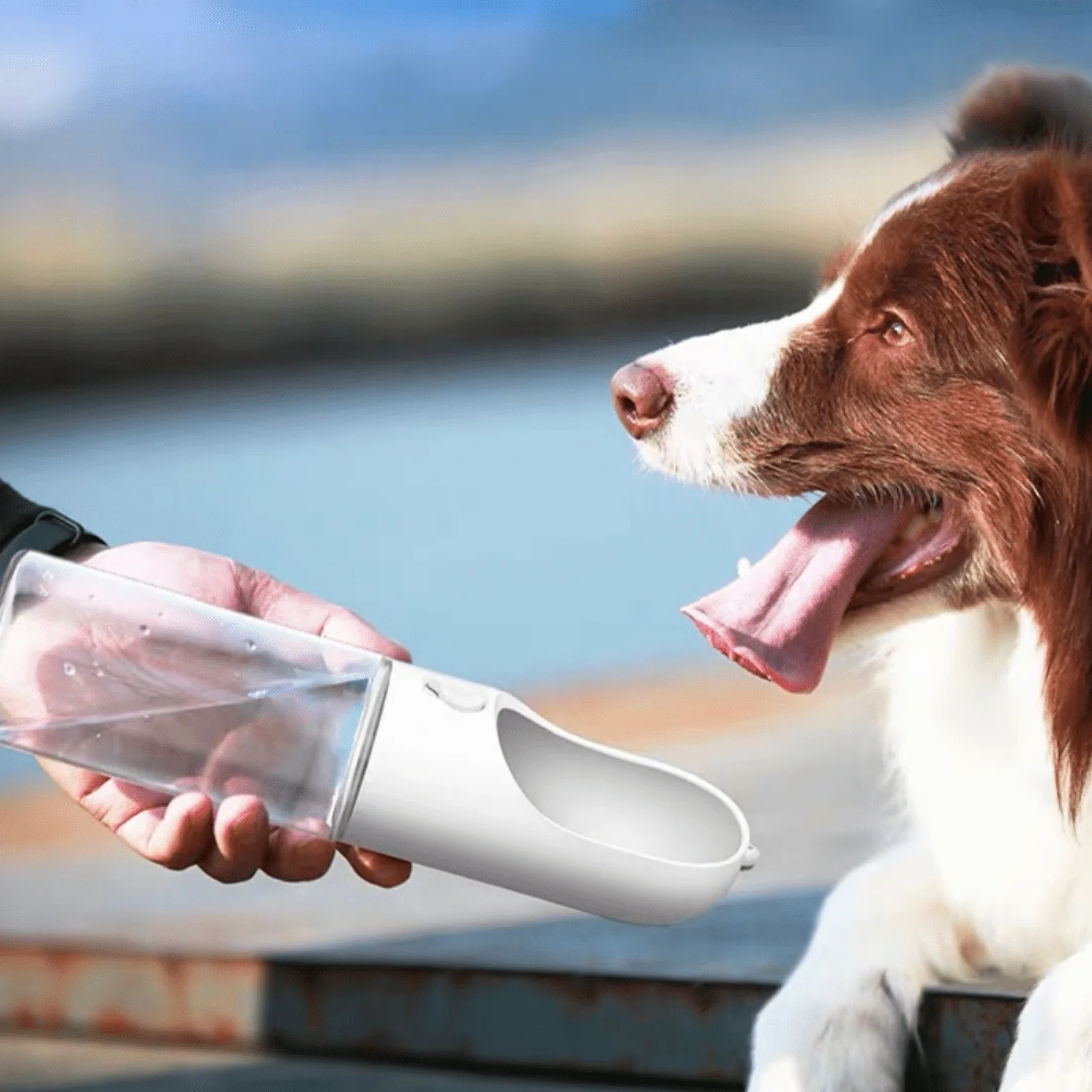 Portable Pet Water Bottle
