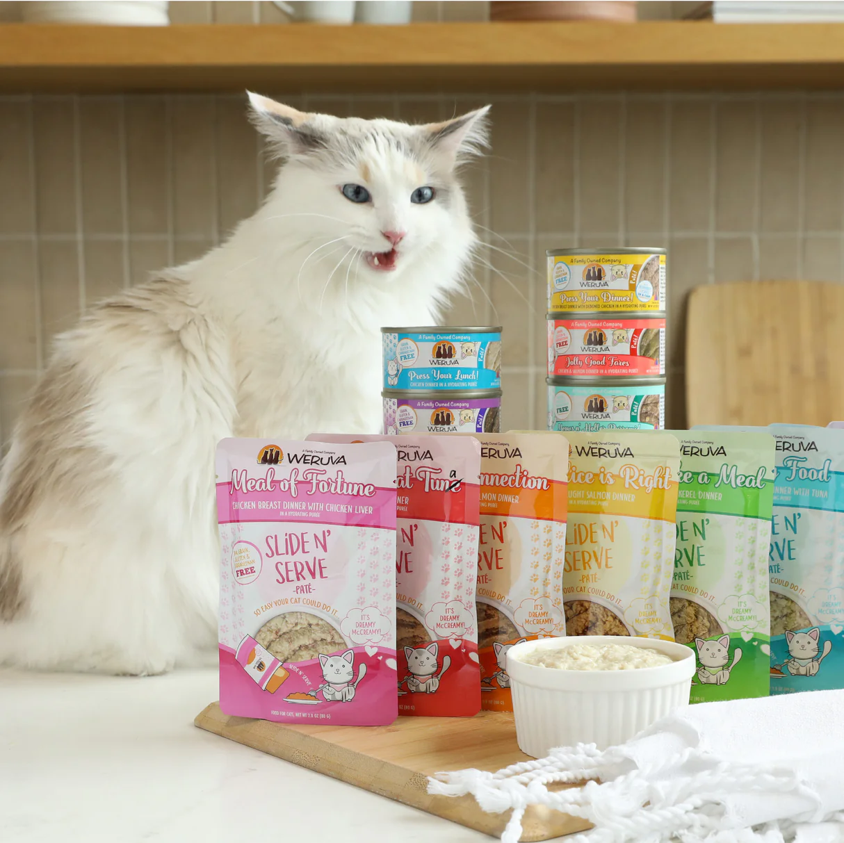 Premium Wet Cat Food Variety