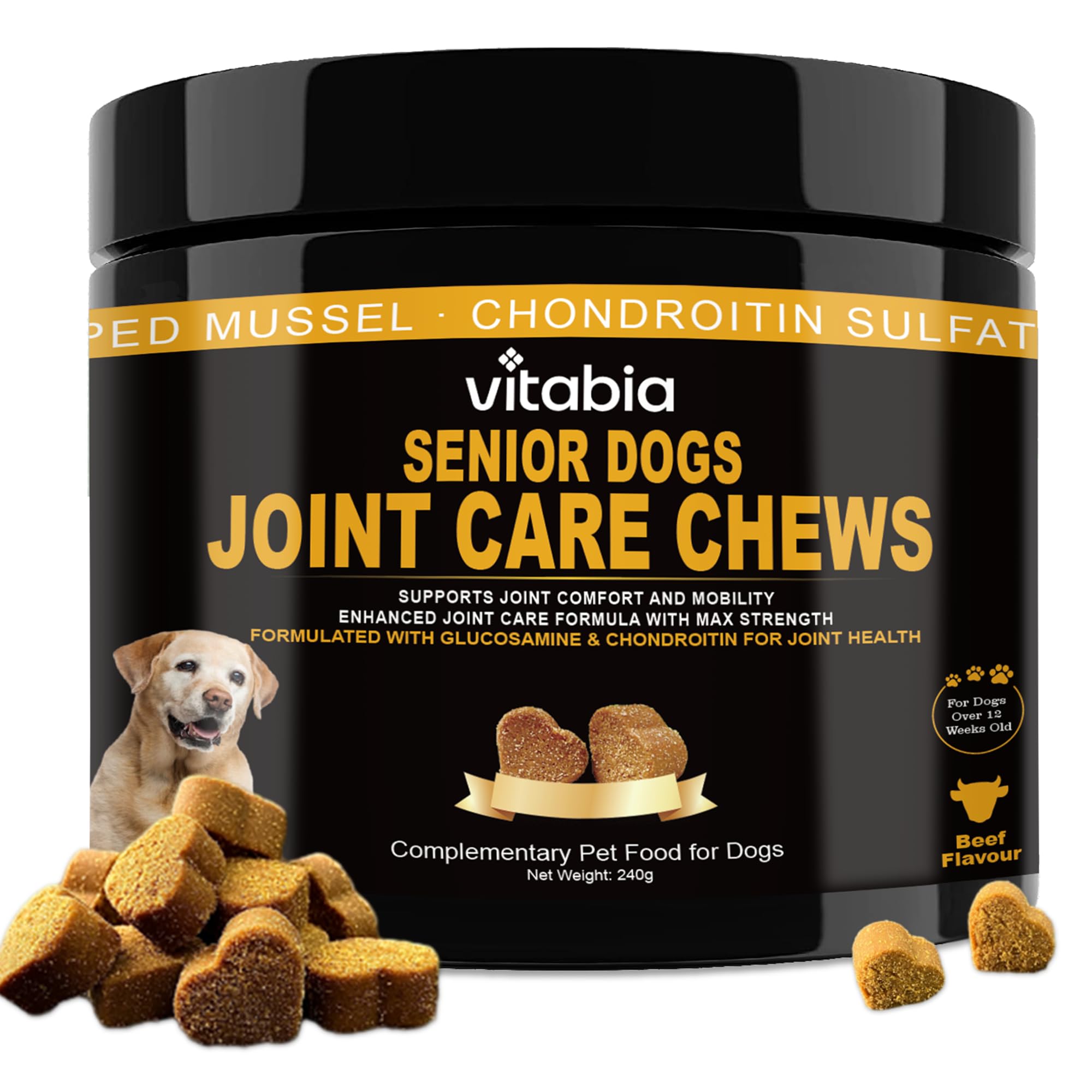 Senior Dog Food with Joint Support